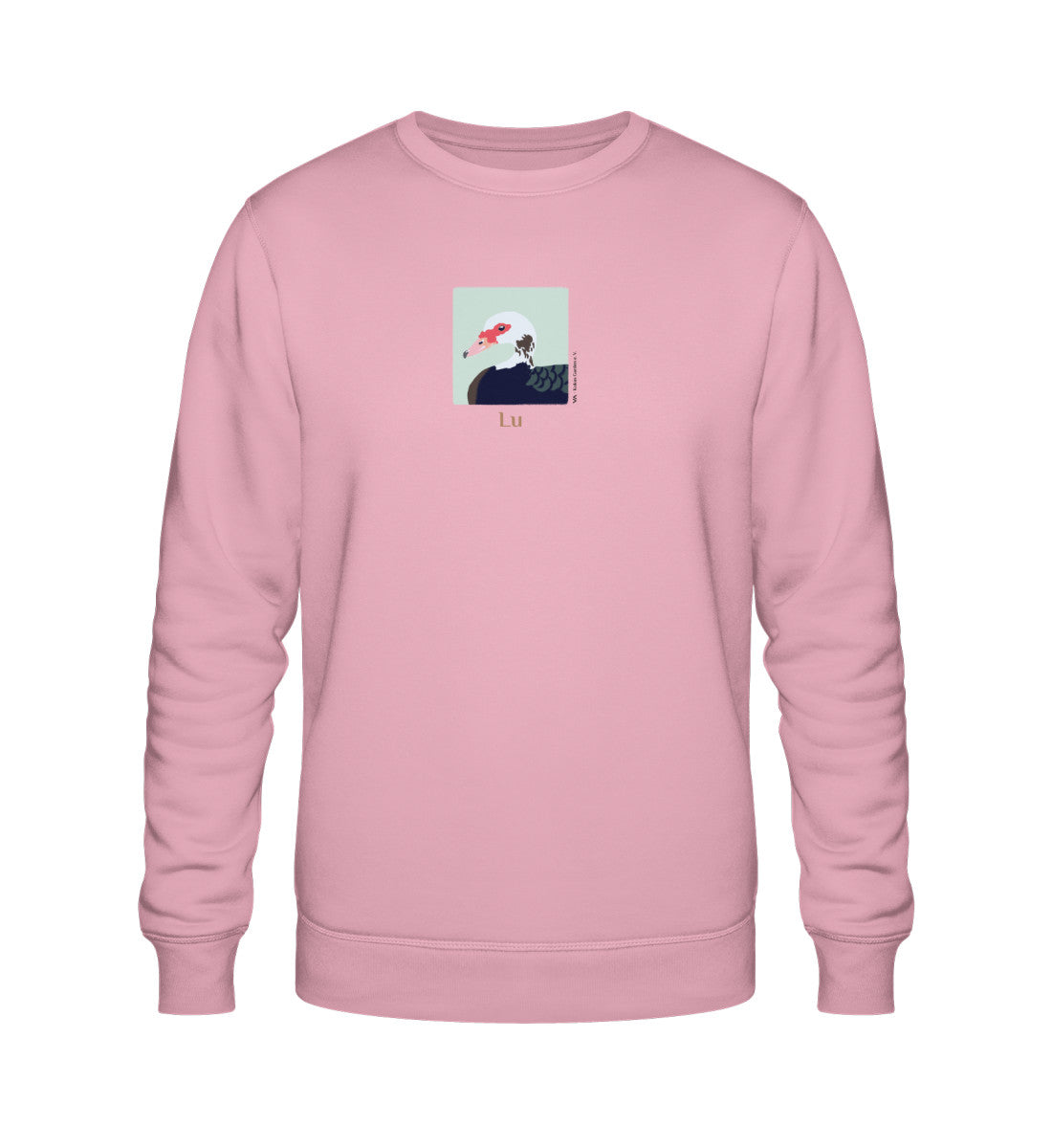 Cotton Pink-6903