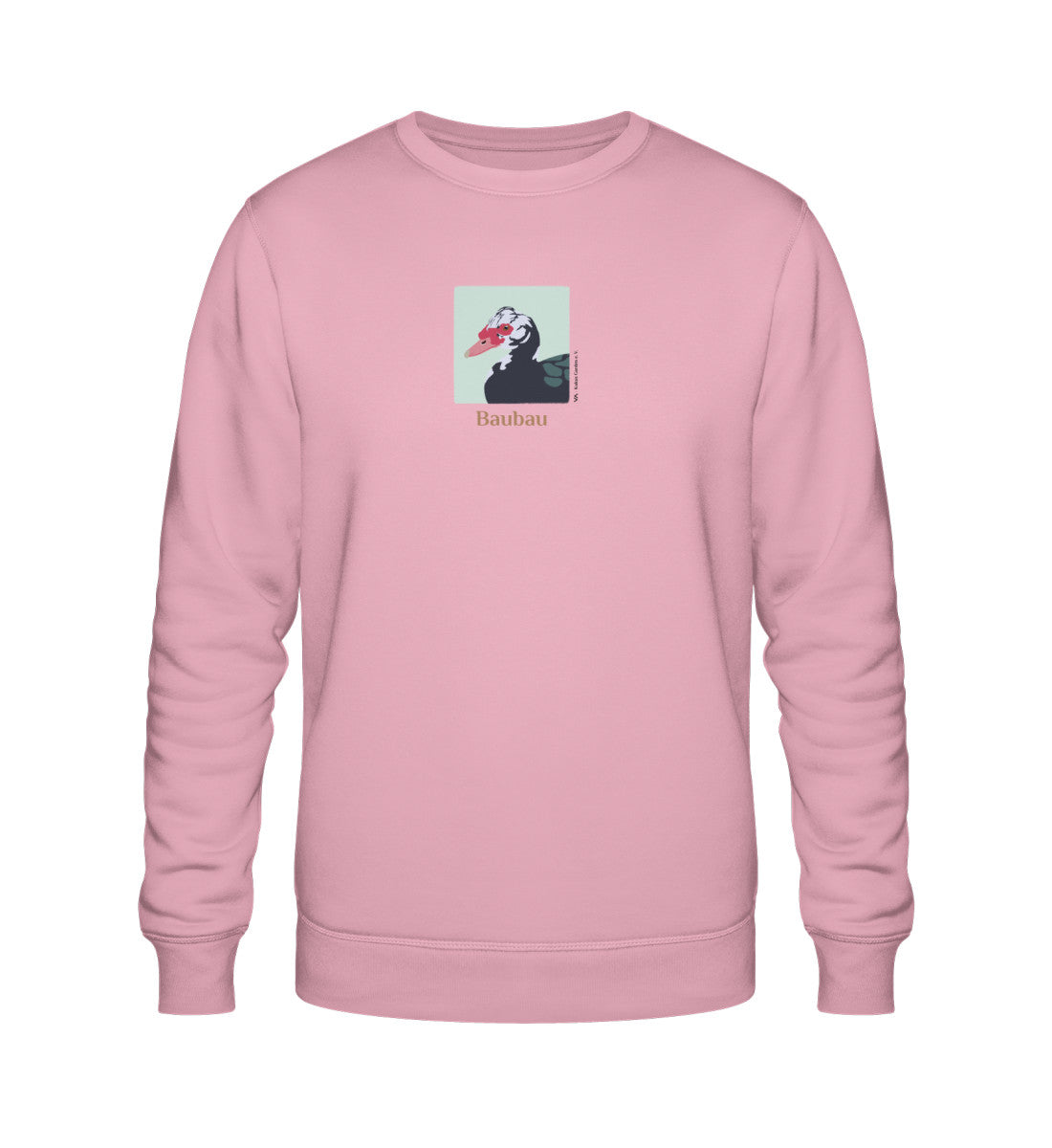 Cotton Pink-6903