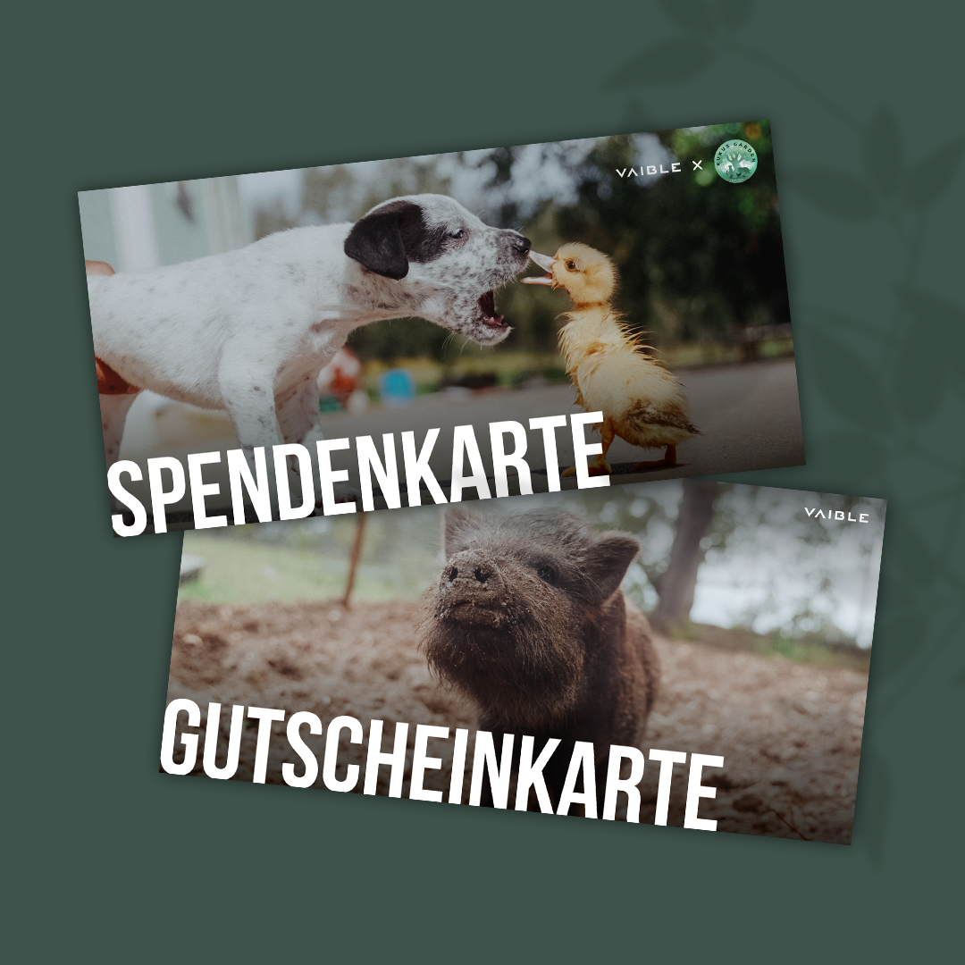 Gutschein und Spende