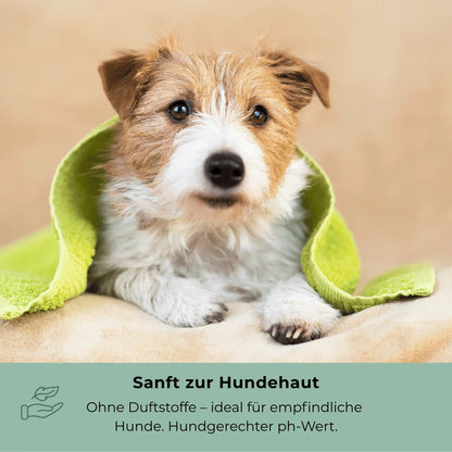 Goopsi · Vegane Hundeseife 160g mit Schwarzkümmelöl