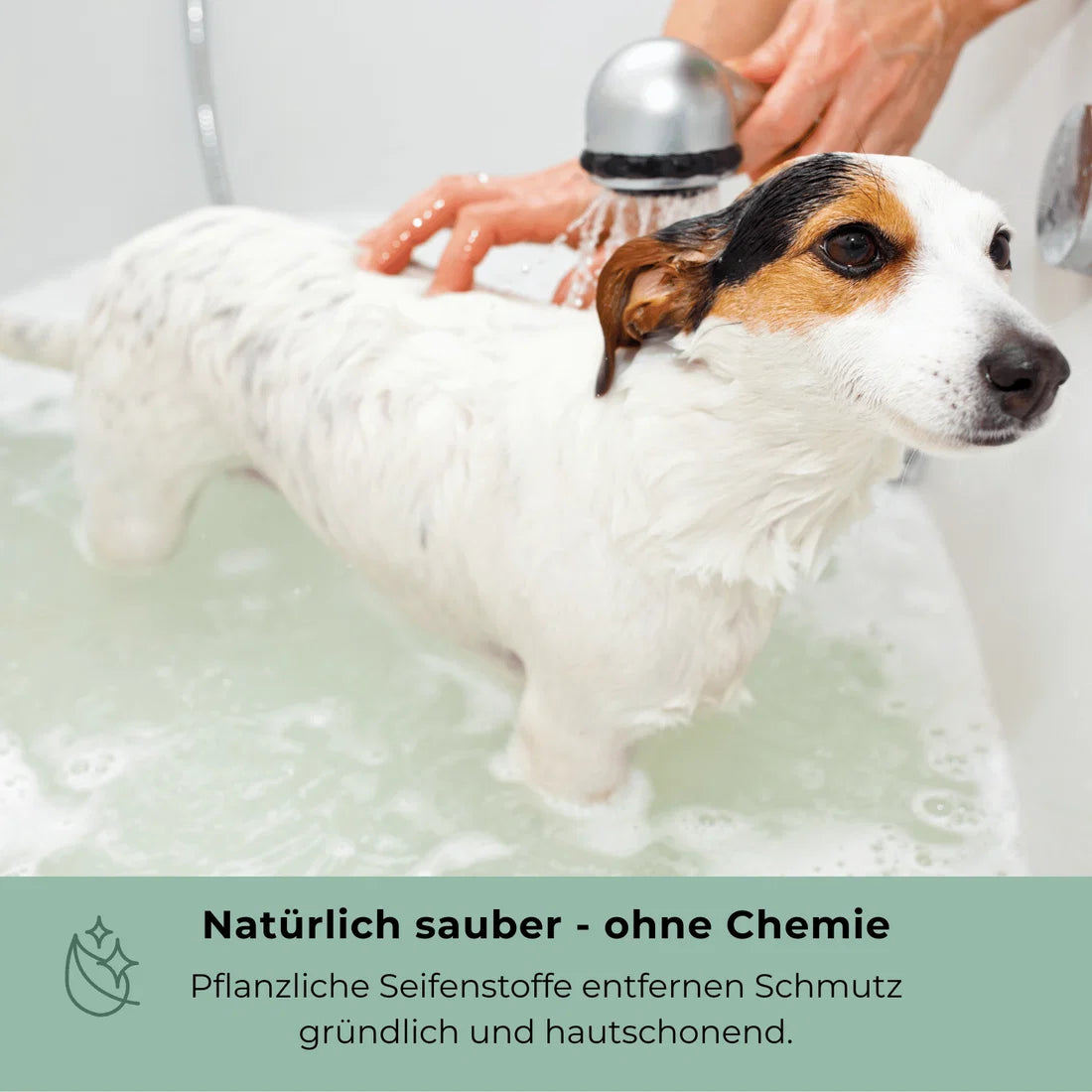 Goopsi · Vegane Hundeseife 160g mit Schwarzkümmelöl