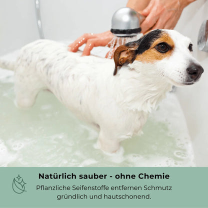 Goopsi · Vegane Hundeseife 160g mit Schwarzkümmelöl