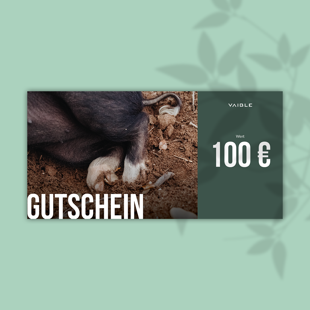 Voucher card