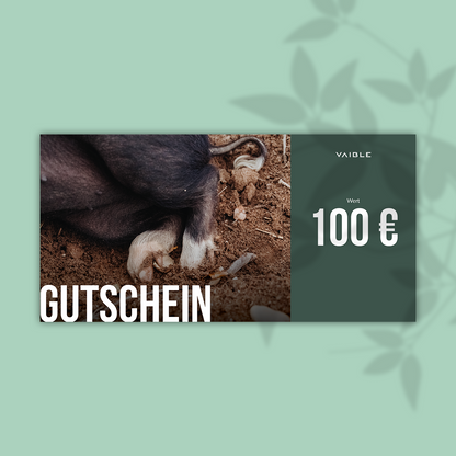 Voucher card