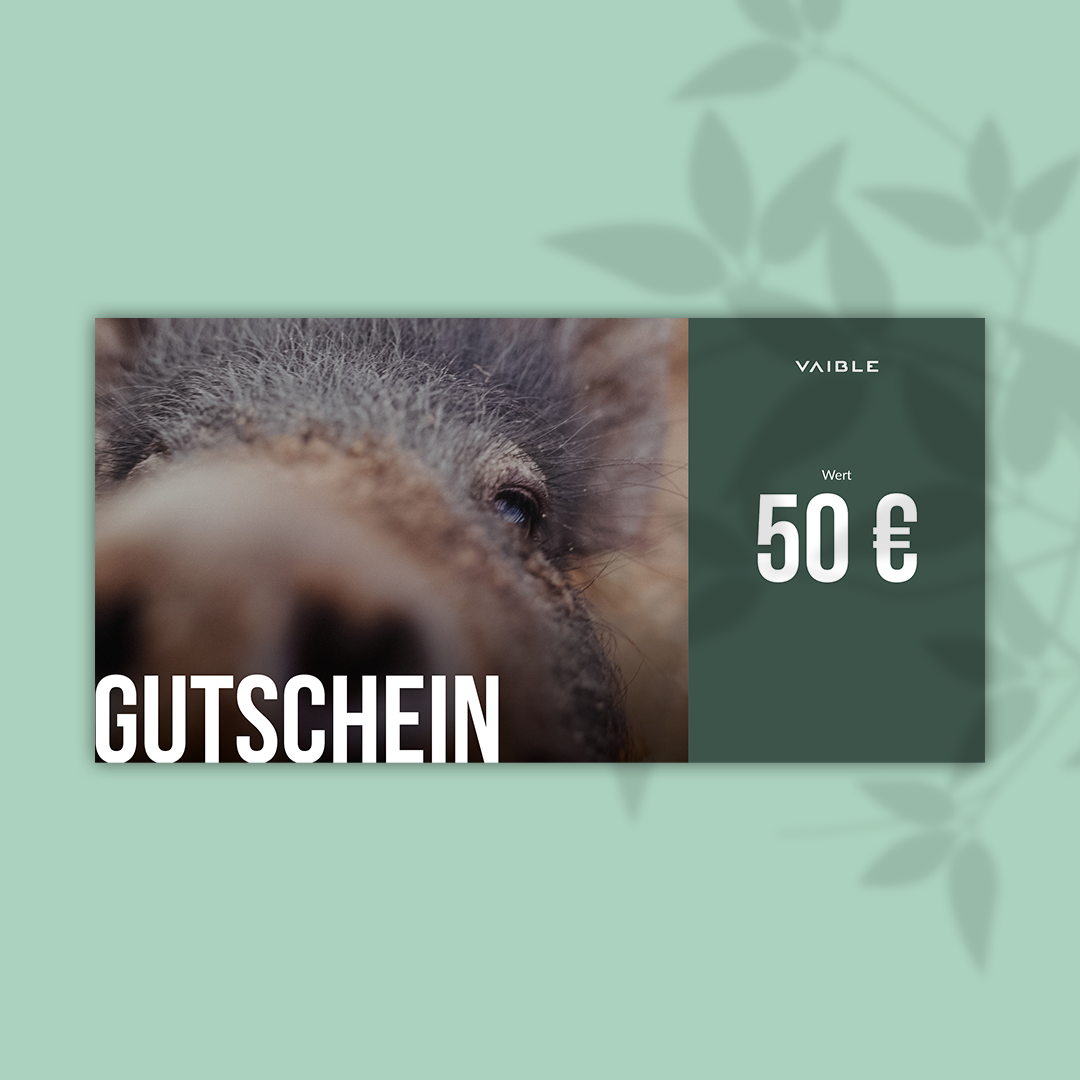 Voucher card