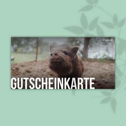 Voucher card