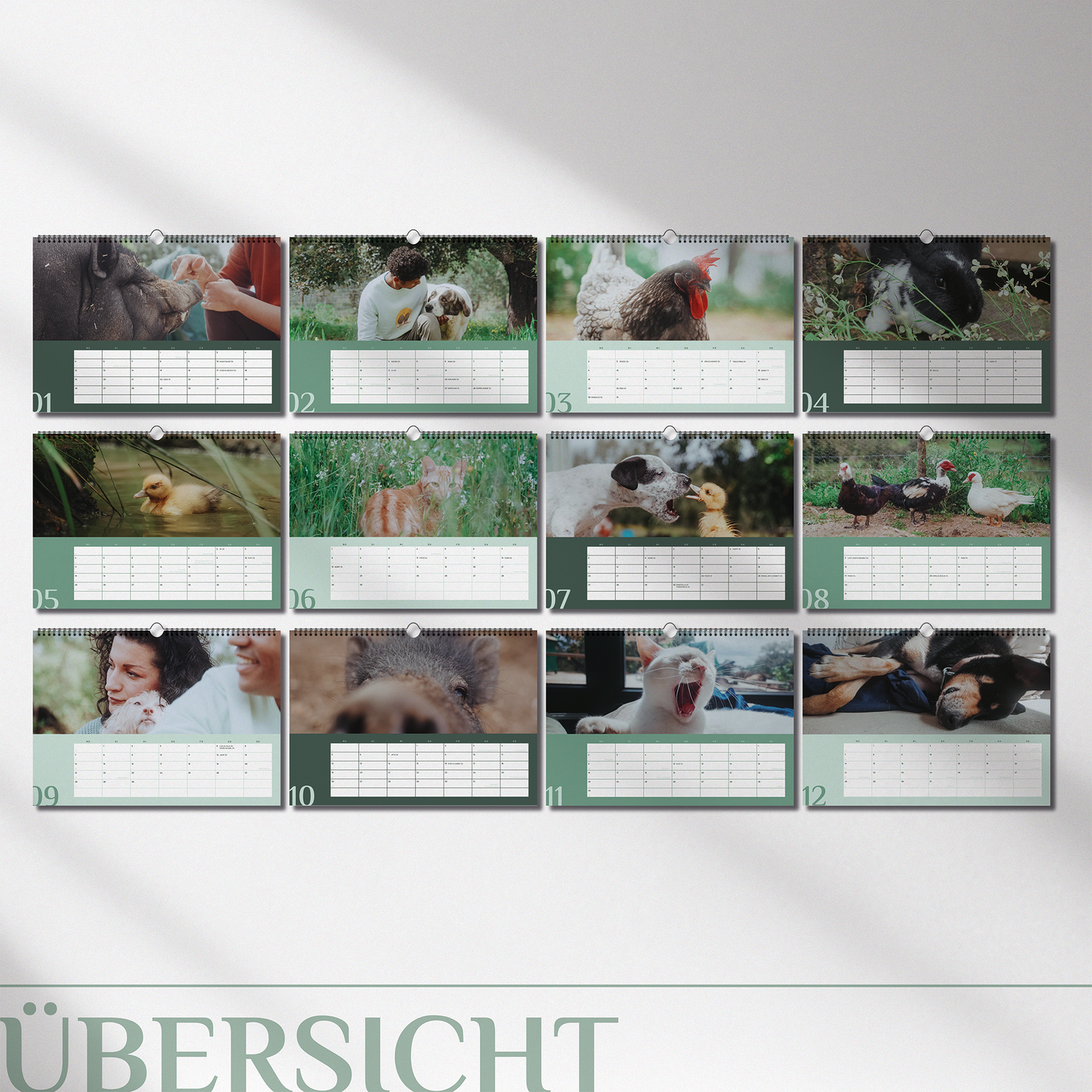 Eli Pralinen + Kukus Garden Kalender 2026