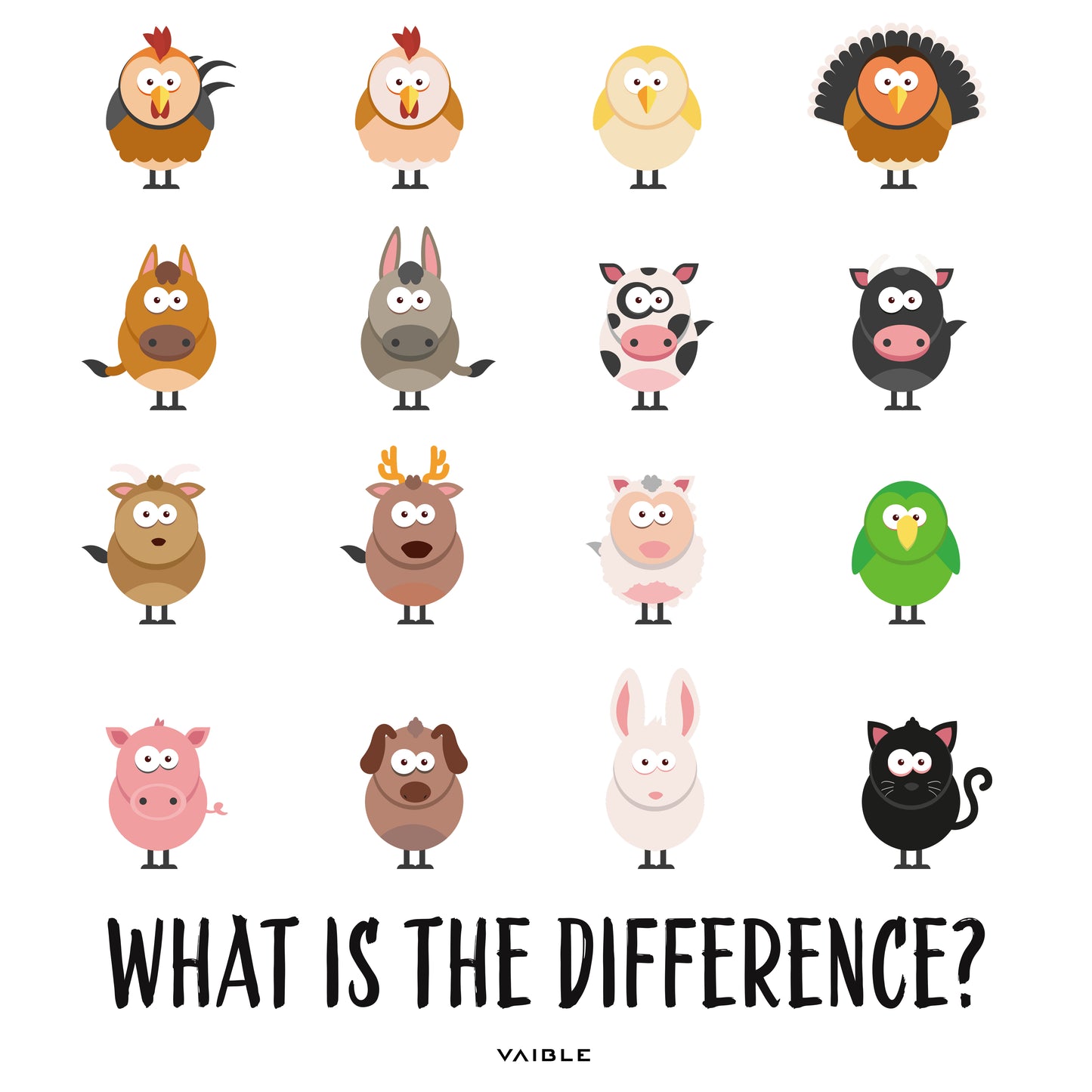 What is the difference · Kinder T-Shirt